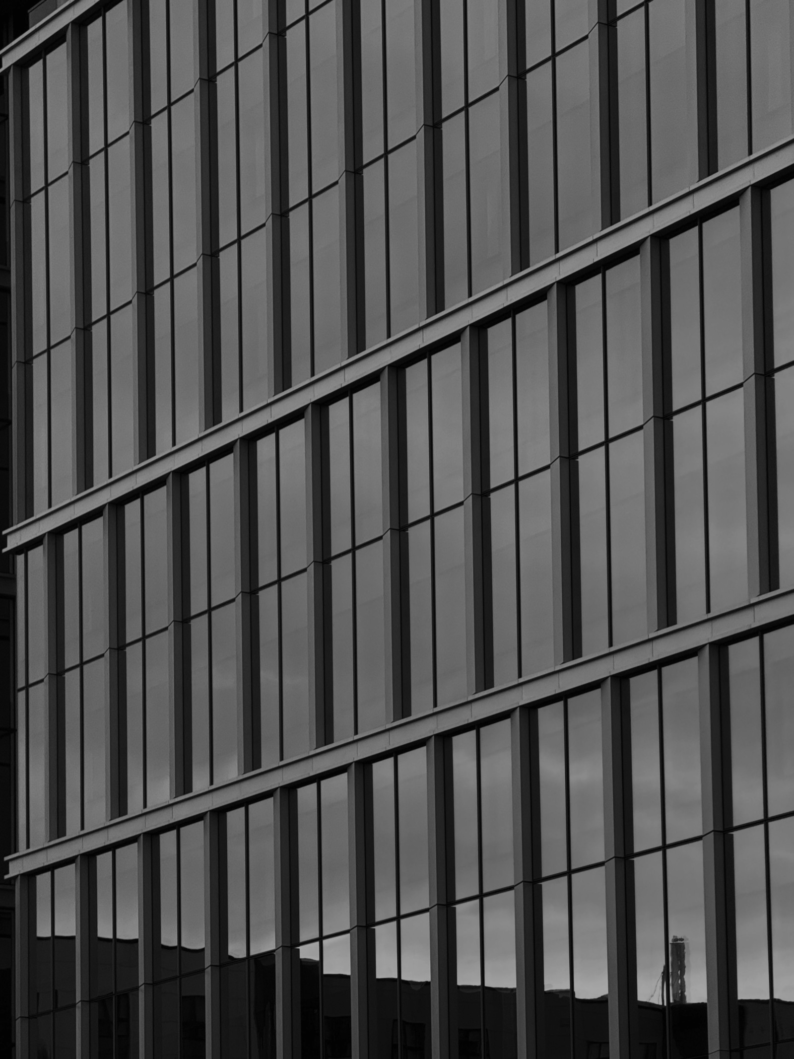 Modern office environment, black and white